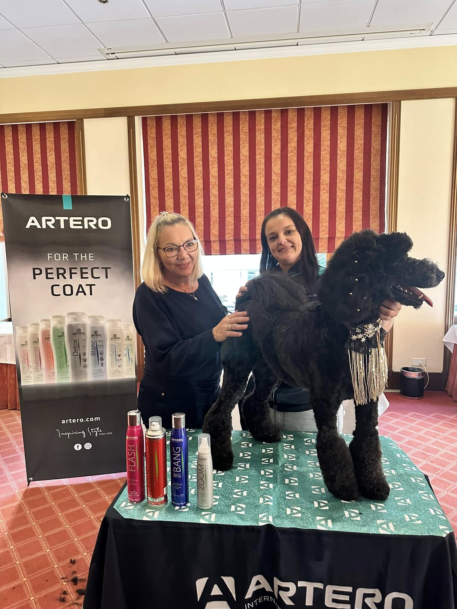 466360971_9135718619813034_8849259645119567035_n